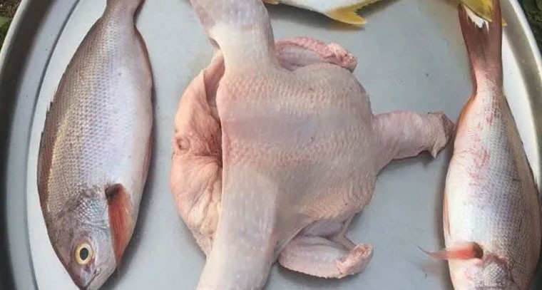 చికెన్ vs చేపలు.. ఆరోగ్యానికి ఏది శ్రేయస్కరం?