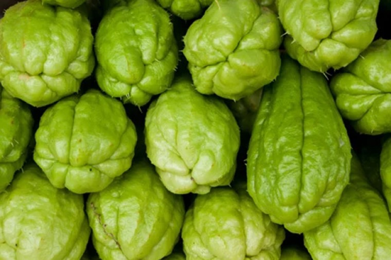 చౌచౌ తినడం వల్ల ఎన్ని ప్రయోజనాలు ఉన్నాయో తెలుసా....?