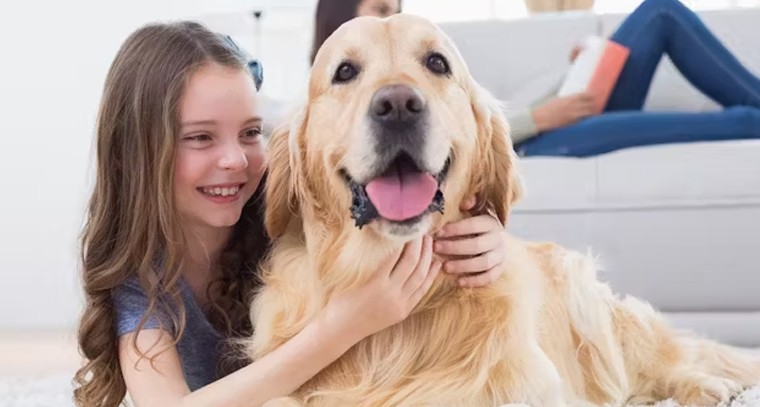 మీ ఇంట్లో కుక్క ఉందా? ఈ అరుదైన వ్యాధి మీకూ ప్రమాదకరం!