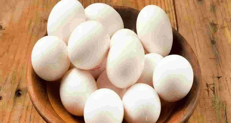 కోడిగుడ్డు ధర పెరుగుదల: నమ్మకమేనా? కారణాలు & భవిష్యత్తు ట్రెండ్! 