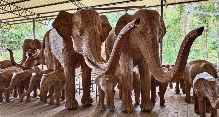 కలుపు మొక్కలతో కోట్ల సంపాదన!