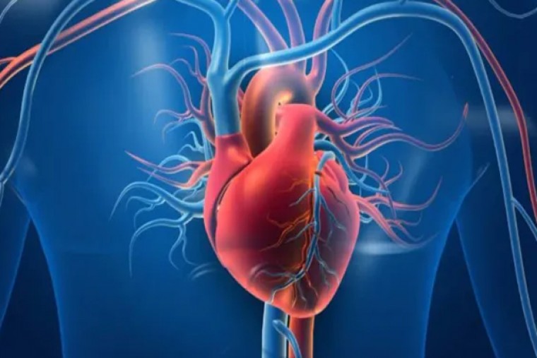 హార్ట్ పేషేంట్స్ తినకూడని కొన్ని ఆహార పదార్ధాలు..... 
