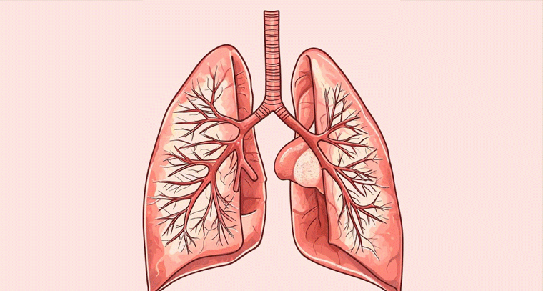ధూమపానం మాత్రమే కాదు.. ఇవి కూడా ఊపిరితిత్తులకు పెద్ద ప్రమాదం!