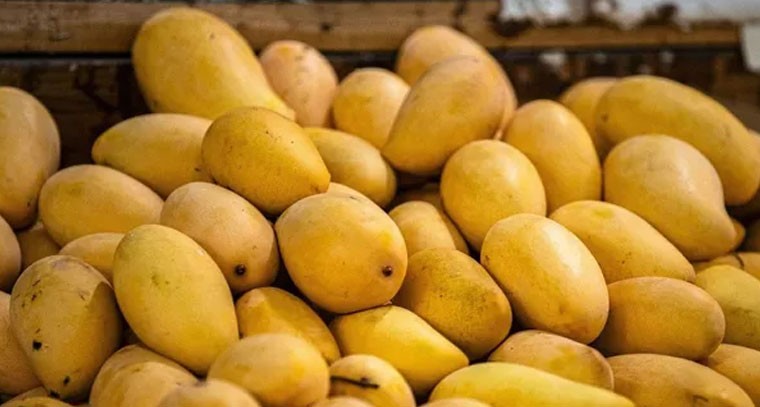 భారీగా తగ్గిన మామిడి పండ్ల ధరలు