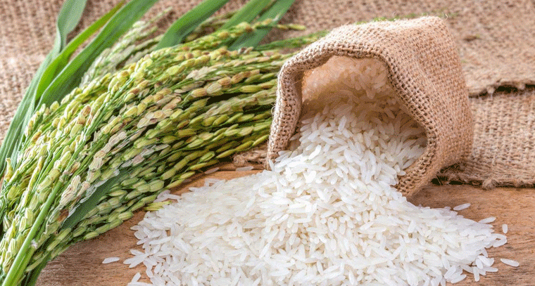 ఇరాన్ యుద్ధం ప్రభావం.. భారత్ ఎగుమతులకు బ్రేక్.. బాస్మతి బియ్యం, అరటి వ్యాపారానికి దెబ్బ