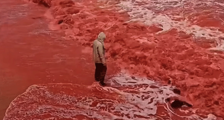 ఇరాన్‌లో రక్తవర్షమా? ఒక్కసారిగా ఎరుపెక్కిన సముద్రం వెనుక షాకింగ్ నిజం!