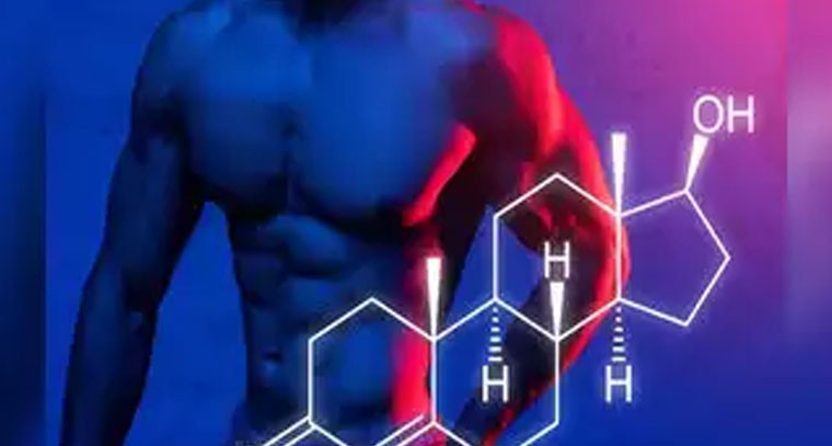 టెస్టోస్టెరాన్‌ స్థాయిలు పెరగడానికి ..