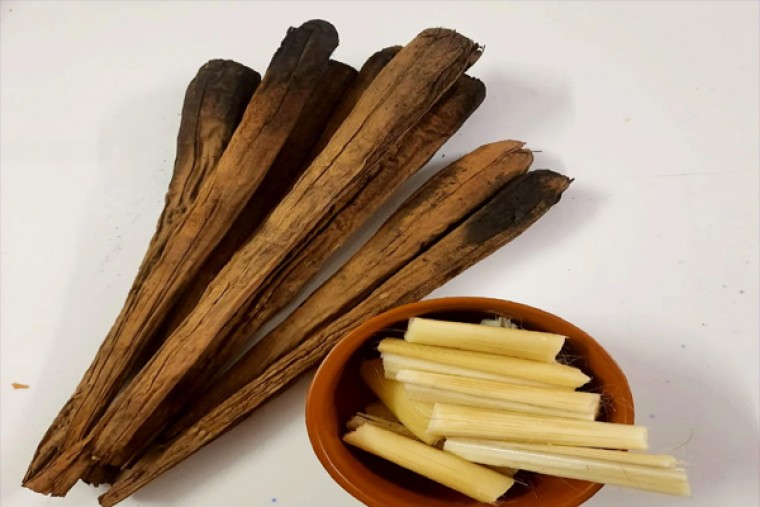 మహిళలు తెగలు తింటే వచ్చే బెనిఫిట్స్ ఇవే ....