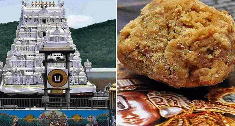 తిరుమల లడ్డూ వివాదం: వైసీపీ బహిరంగంగా రికార్డులు చూపించింది!