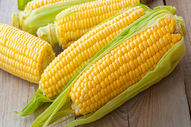 స్వీట్ కార్న్ తింటే ఎన్నో ఆరోగ్య ప్రయోజనాలు

