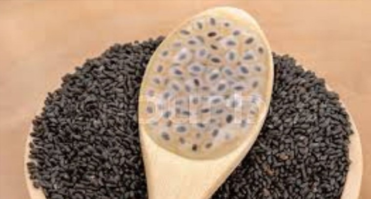 సబ్జా గింజలుతో ఆరోగ్య ప్రయోజనాలు 

