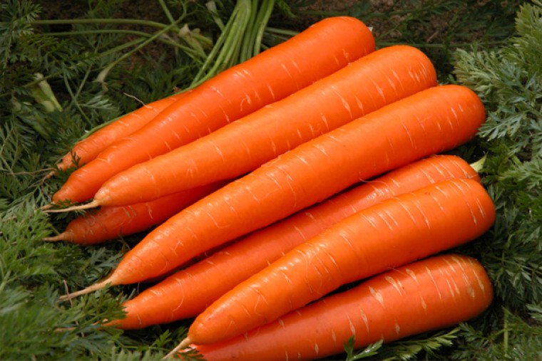 క్యారెట్ తింటే ఎన్నో ఆరోగ్య లాభాలు 

