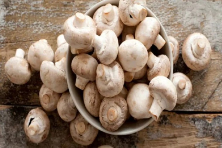 పుట్టగొడుగుల్లో అనేక ఆరోగ్య లాభాలు 

