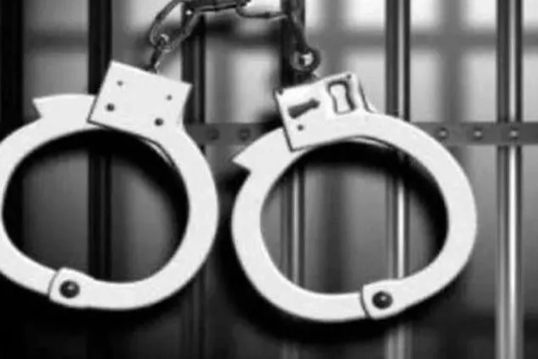 ఆలివ్ ఆయిల్ వల్ల కలిగే ఆరోగ్య ప్రయోజనాలు 

