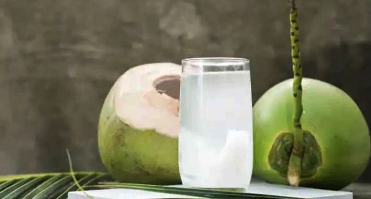 వేసవిలో కొబ్బరి నీళ్లు తప్పకుండా తాగండి ఎందుకంటే..

