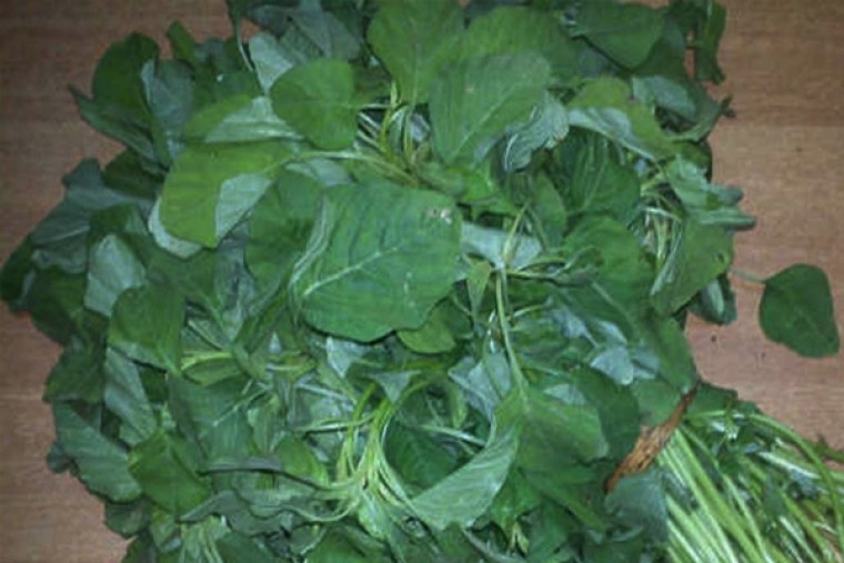 తోటకూర ఆరోగ్యానికి ఎంతో మేలు 

