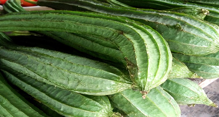 బీరకాయ తినడం వల్ల కలిగే ఆరోగ్య ప్రయోజనాలు 

