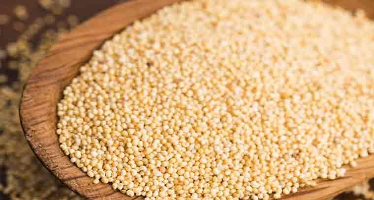 గసగసాలతో కలిగే ఆరోగ్య ప్రయోజనాలు 

