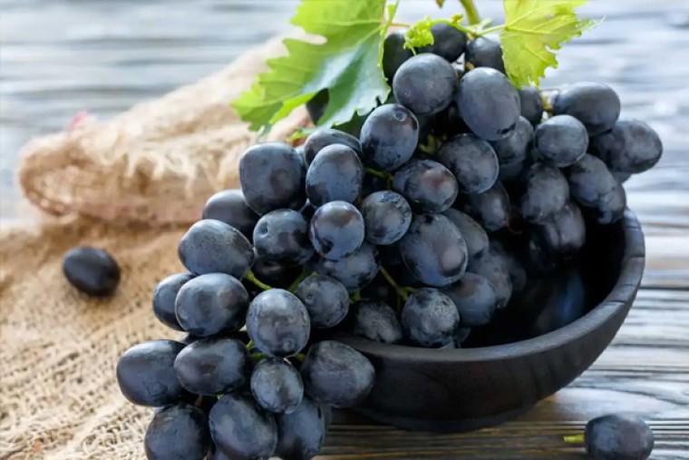 నల్ల ద్రాక్షతో ఆరోగ్యానికి ఎంతో మేలు 

