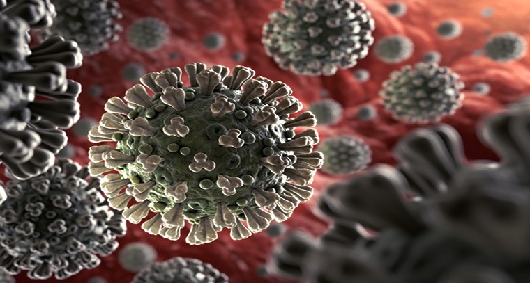 ఈ విషయాలు మీకు తెలుసా...!

