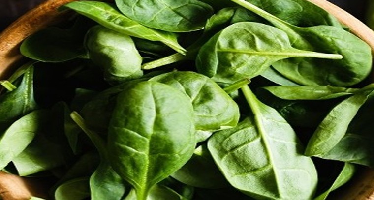 పాలకూరతో కలిగే ఆరోగ్య ప్రయోజనాలు

