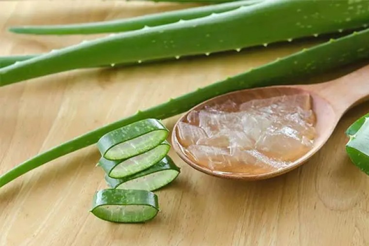 కలబందతో ఆ సమస్యలకు చెక్ పెట్టండి

