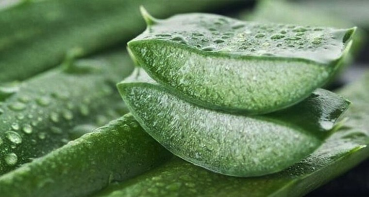 కలబందతో ఆ సమస్యకు చెక్ 

