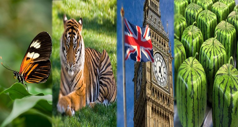 ఈ విషయాలు మీకు తెలుసా...!

