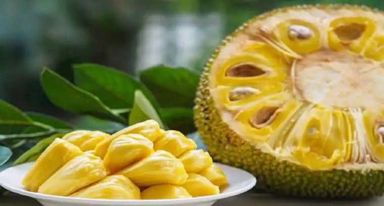 పనస పండ్లుతో అనేక ఆరోగ్య ప్రయోజనాలు 

