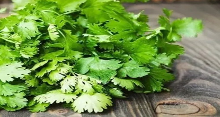 కొత్తిమీర వల్ల కలిగే ఆరోగ్య ప్రయోజనాలు 

