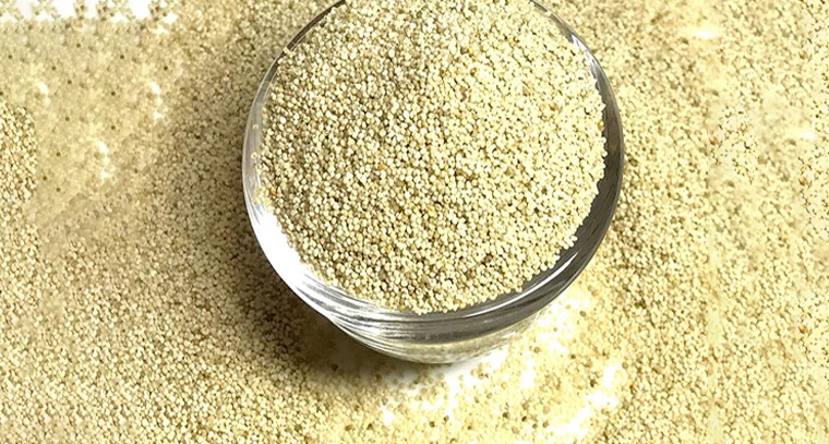 గసగసాల వల్ల కలిగే ఆరోగ్య ప్రయోజనాలివే

