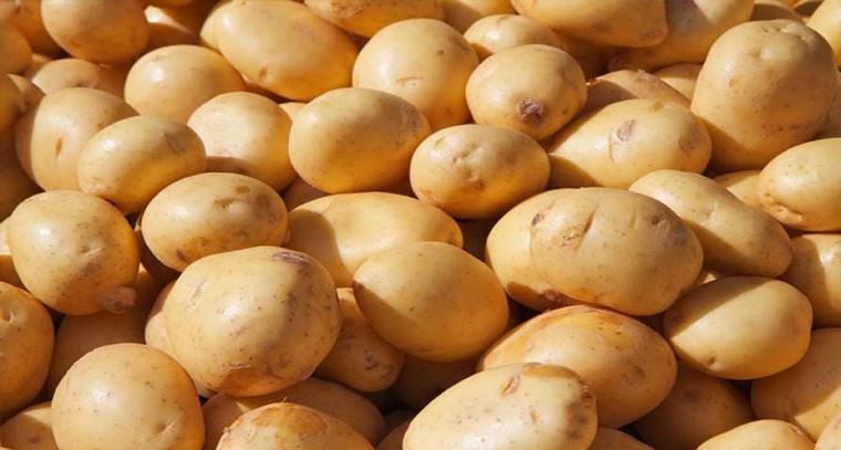 బంగాళదుంపలుతో  అనేక ఆరోగ్య ప్రయోజనాలు 

