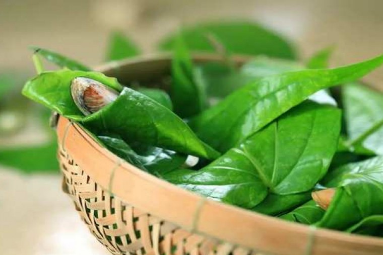 తమలపాకుతో  ఎన్నో ఆరోగ్య ప్రయోజనాలు

