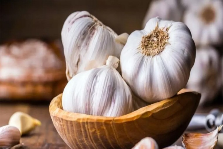 వెల్లుల్లితో కలిగే ఆరోగ్య ప్రయోజనాలు 

