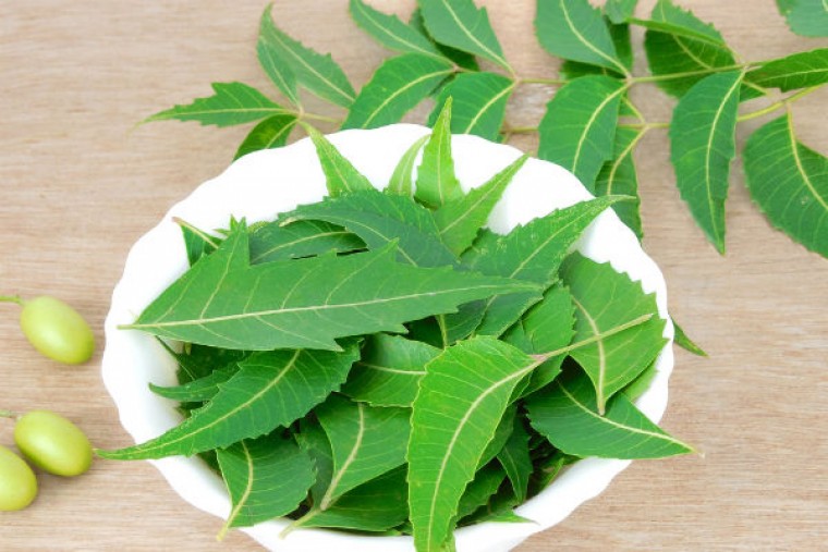 వేపతో కలిగే ఆరోగ్య ప్రయాజనాలు 

