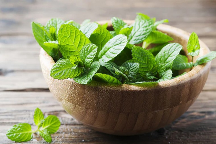  పుదీనాతో ఎన్నో ఆరోగ్య ప్రయోజనాలు 

