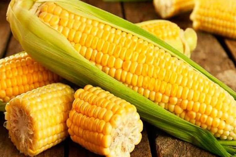 స్వీట్ కార్న్ తింటే ఎన్నో ఆరోగ్య ప్రయోజనాలు

