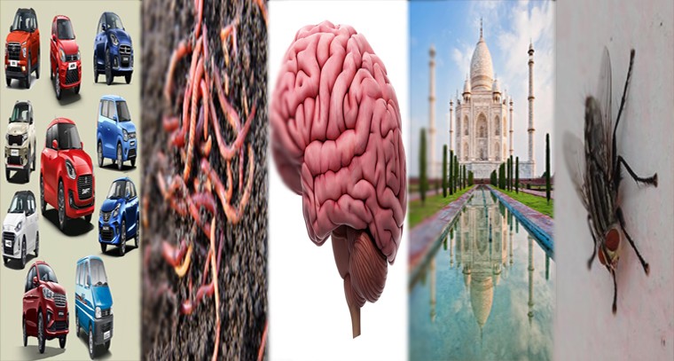 ఈ విషయాలు మీకు తెలుసా... 

