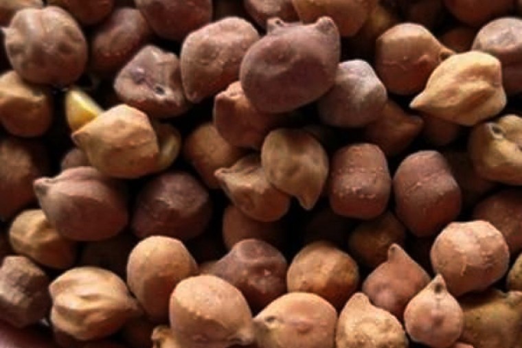 శనగలు తింటే కలిగే ఆరోగ్య లాభాలు 

