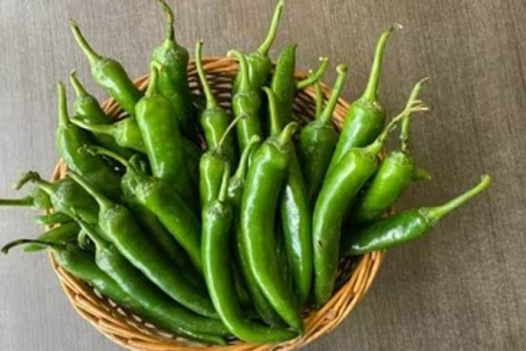 పచ్చిమిర్చితో ఆరోగ్య ప్రయోజనాలు

