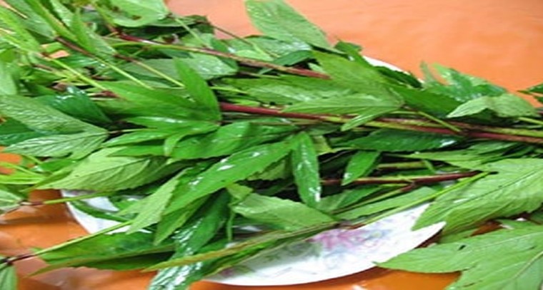 ఐరన్ కోసం గోంగూర తింటున్నారా?

