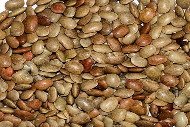 ఉలవలతో ఎన్నో ఆరోగ్య ప్రయోజనాలు 

