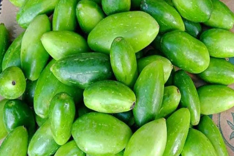  దొండకాయ తింటే కలిగే ఆరోగ్య ప్రయోజనాలు 

