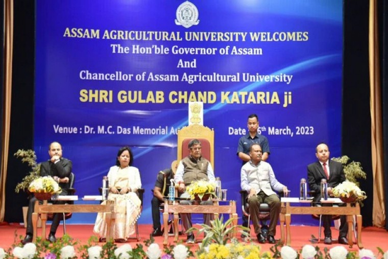 జుట్టు సమస్యకు చెక్ పెట్టండిలా

