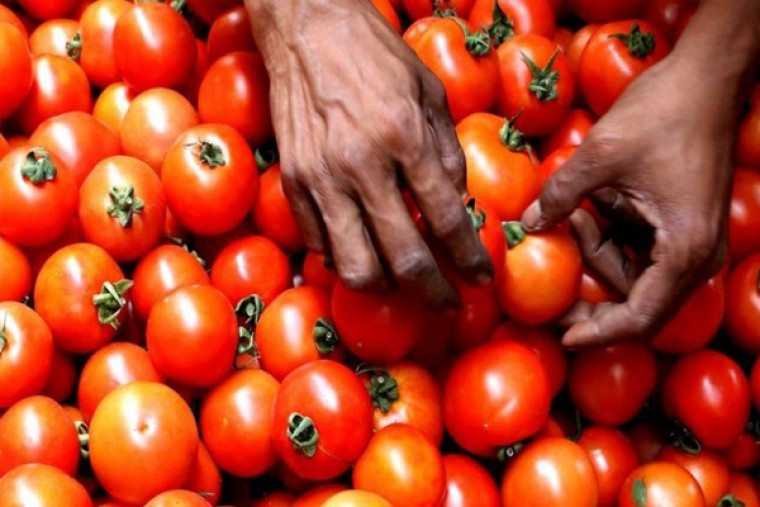 టొమాటో ఆరోగ్యానికి ఎంతో మేలు 

