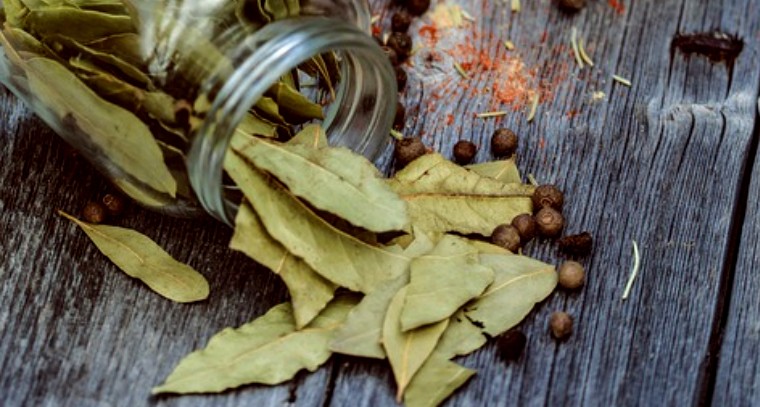 బిర్యానీ ఆకుతో కలిగే ఆరోగ్య ప్రయోజనాలు 

