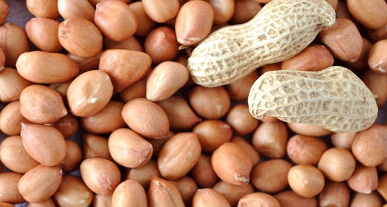 వేరుశెనగ వల్ల కలిగే ఆరోగ్య ప్రయోజనాలు

