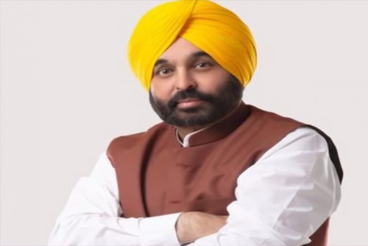 పుట్టగొడుగులతో కలిగే లాభాలివే

