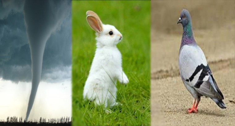 ఈ విషయాలు  మీకు తెలుసా...!

