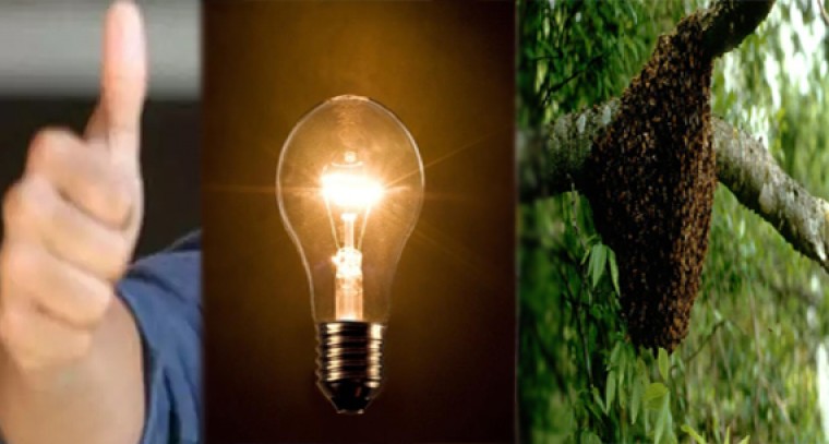 ఈ విషయాలు మీకు తెలుసా...!

